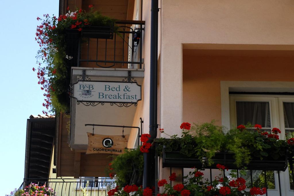 B&B Casa Riz Castello-Molina di Fiemme Exterior photo